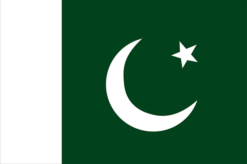 NFT Pakistani